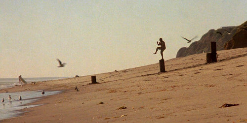 Daniel San's Crane Kick